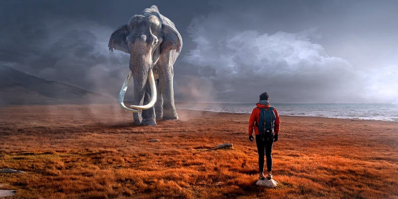 Robotic Civilization Encounters
